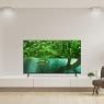 Image result for 55 inch Philips Smart TV