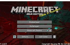 Image result for Minecraft 1.19 Download Free