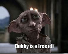 Image result for Dobby Is Free Meme