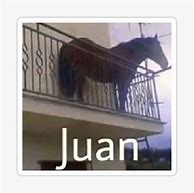 Image result for Juan Horswe Memes