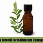 Image result for Molluscum Contagiosum Natural Remedies