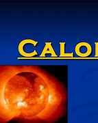 Image result for calorosp