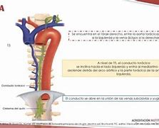 Image result for extracurrixular