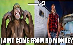 Image result for No Monkey Sign Meme