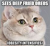 Image result for Deep Fried Oreos Meme