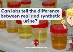 Image result for Real Urine