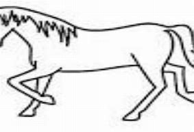 Image result for Thourobreed Muscular Race Horse