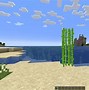 Image result for Invisible Potion Minecraft