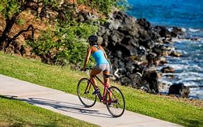 Image result for Fitness Bikes Trek