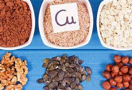 Image result for Copper Rich Food Sources