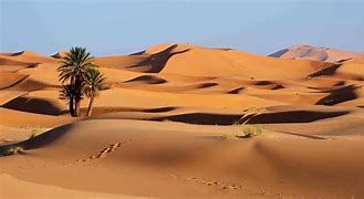 Image result for Desert Big Area