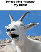 Image result for Goat Laughing Meme