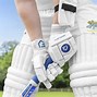 Image result for Cricket Sporting Equipment