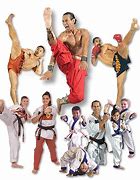 Image result for Every Martial Art in the World