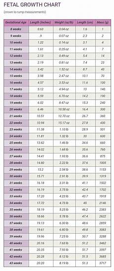 Fetal Growth Chart 8 43 Weeks Fetal Growth Chart