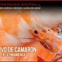 Image result for camaronear