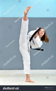 Image result for Beautiful Karate Kick