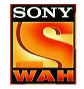 Image result for Sony Wah 2018