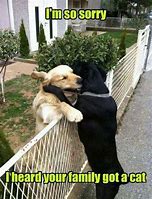 Image result for Cat and Dog Names Meme