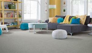 Image result for LifeProof Carpeting
