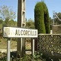 Image result for alicoryo