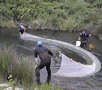 Image result for Seine Fishing