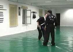 Image result for Hapkido Ghf