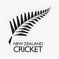 Image result for New Zealand Cricket Bug