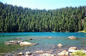 Image result for Buck Lake