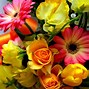 Image result for Bouquet Laptop Wallpaper