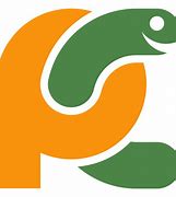 Image result for Pycham Logo