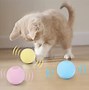 Image result for Mad Cat Catnip Toys