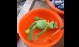 Image result for Spider Kermit Meme