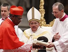 Image result for Red Catholic Cardinal Hat