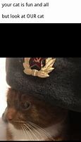 Image result for Soviet Russia Cat Memes
