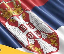 Image result for Frst Serbian Flag