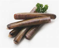 Image result for Canned Razor Clams