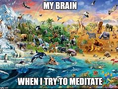 Image result for Meditation Meme