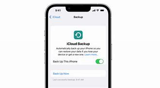 Image result for Back Up iPhone X