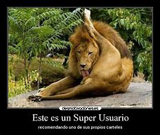 Image result for Desmotivaciones Graciosas