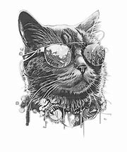 Image result for Cool Cat with Sunglasses Meme