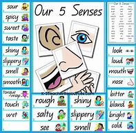Image result for 5 Senses Vocabulary