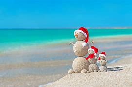 Image result for Happy Holidays Tropical