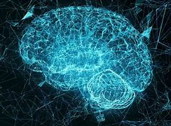 Image result for Human Brain Psychology