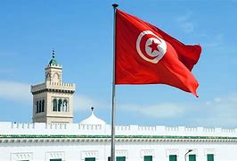 Image result for Tunisian Symbols