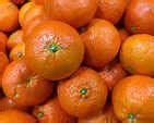 Image result for Orange and Moosambi Hybrid