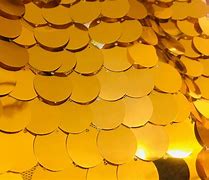 Image result for Sequin Fabric