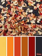 Image result for Autumn Color Palette Orange