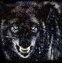 Image result for Cool Scary B Animal Pictures