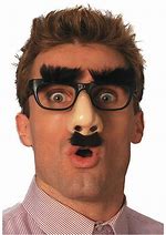 Image result for Funny Nose Glasses